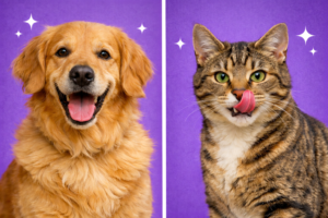 benefits of raw feeding