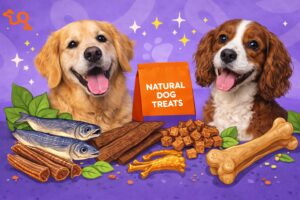 reasons to give our dog natural do treats