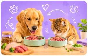 Got a Fussy Dog or Cat