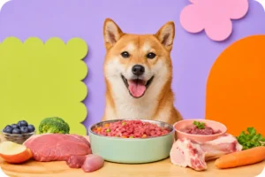 raw feeding myths debunked